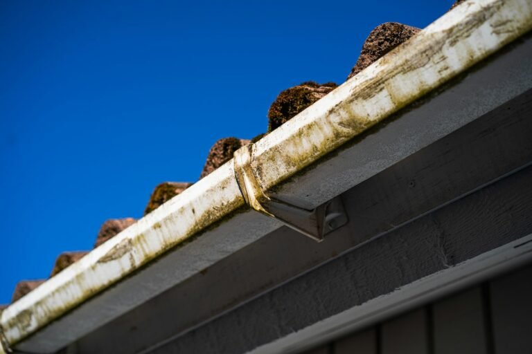 Gutters full of debris before gutter clearing
